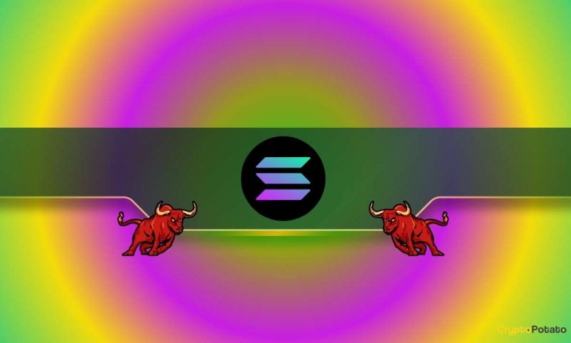 solana-rally-paused?-traders-eye-$239-as-must-break-level