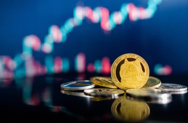 shiba-inu-price-prediction-after-the-shibarium-hack:-critical-support-tested
