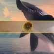 retail-traders-keep-bitcoin-floating-above-$117k,-but-one-whale-move-could-change-everything