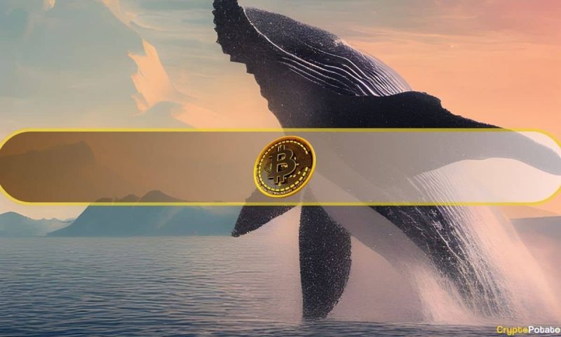 retail-traders-keep-bitcoin-floating-above-$117k,-but-one-whale-move-could-change-everything
