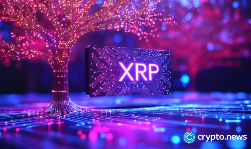 msp-miner-launches-new-cloud-mining-contract-for-xrp-holders