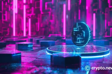 constructkoin-steals-attention-amid-crypto-market-rally