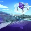 ethereum-co-founder-shifts-$6m-of-eth,-but-whales-bought-$1.6b