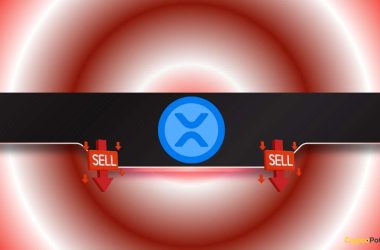 ripple-(xrp)-at-a-crossroads:-big-moonshot-or-massive-drop?