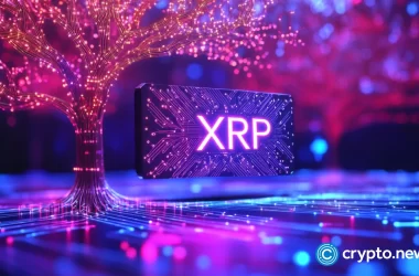 xrp-price-eyes-$4,-‘very-healthy’-chart-turns-analyst-bullish