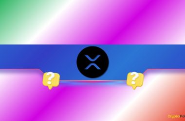 is-a-mega-ripple-(xrp)-price-rally-coming-soon?-what-are-whales-up-to?