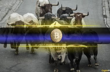 bitcoin-price-reclaims-$112k-as-bull-market-sentiment-returns