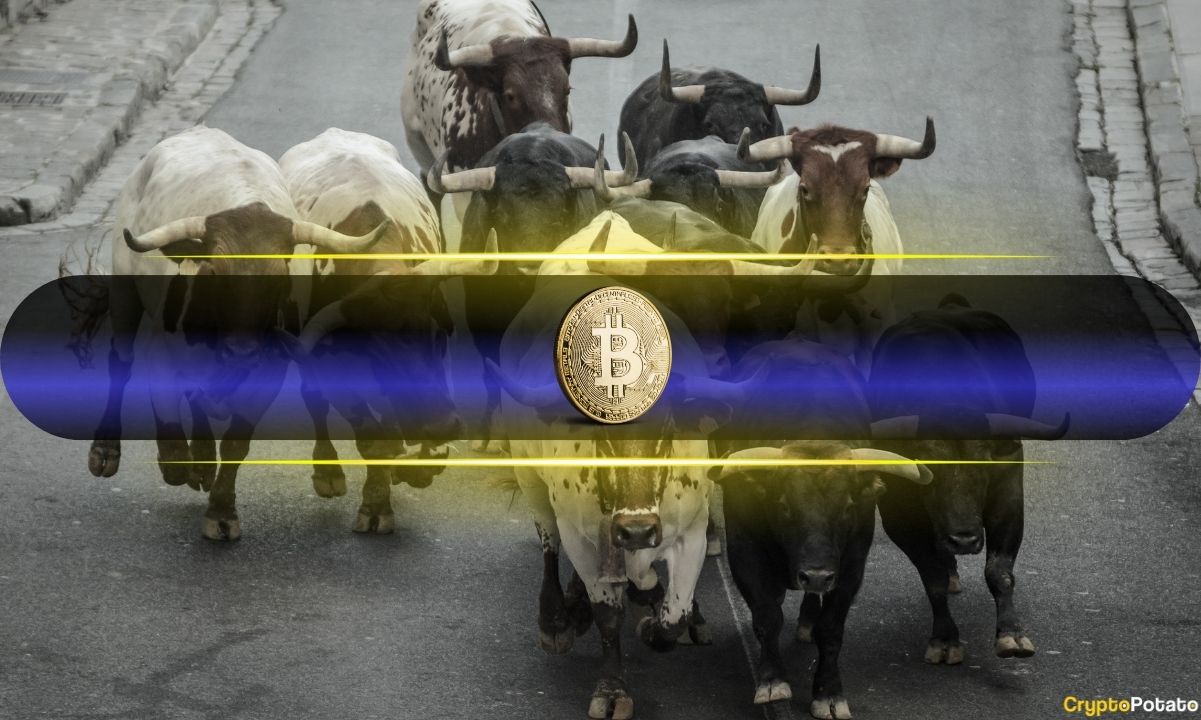 bitcoin-price-reclaims-$112k-as-bull-market-sentiment-returns