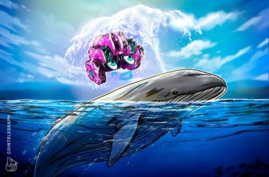 how-to-use-ai-to-spot-whale-wallet-moves-before-the-crowd
