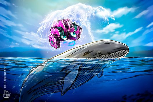 how-to-use-ai-to-spot-whale-wallet-moves-before-the-crowd