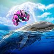 how-to-use-ai-to-spot-whale-wallet-moves-before-the-crowd