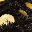 a-dormant-bitcoin-address-moves-400-btc-after-more-than-a-decade