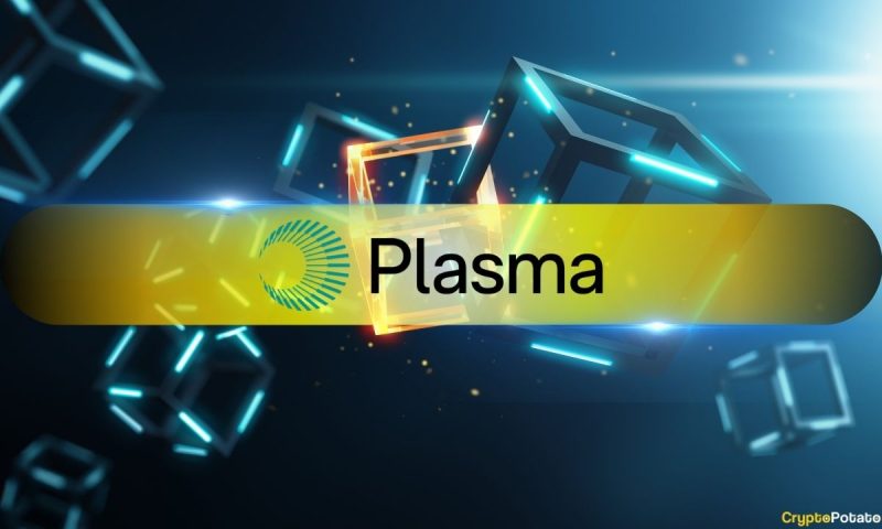 plasma-ceo-denies-xpl-token-sale-rumors