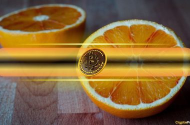 bitcoin-keeps-breaking-records,-but-each-halving-cycle-delivers-smaller-gains