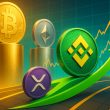 bnb-hits-new-all-time-high-amid-rising-memecoin-activities;-surpasses-xrp-in-market-value