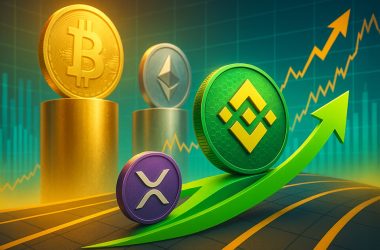 bnb-hits-new-all-time-high-amid-rising-memecoin-activities;-surpasses-xrp-in-market-value