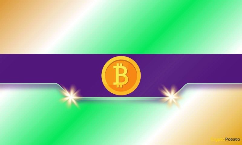 559,000-btc-added-in-just-3-months:-new-buyers-flood-the-bitcoin-market