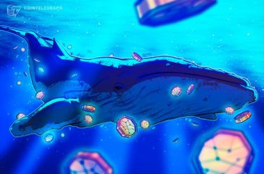 $11b-bitcoin-whale-bets-on-btc,-eth-correction-with-$900m-shorts