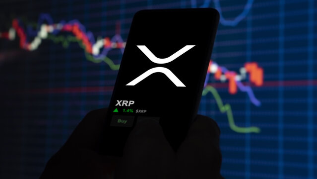 zach-rector-pits-xrp-against-the-rest-of-the-market-–-here-are-the-results