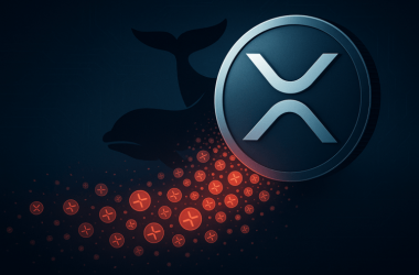 xrp-whales-are-selling:-$50-million-exiting-wallets-every-day