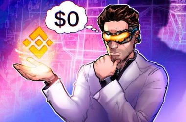 binance-says-tokens-did-not-crash-to-$0,-claims-‘display’-issue-responsible