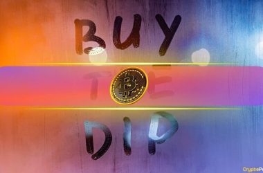 buy-the-dip-success:-opportunistic-investors-see-7-14%-gains-after-trade-war-jitters