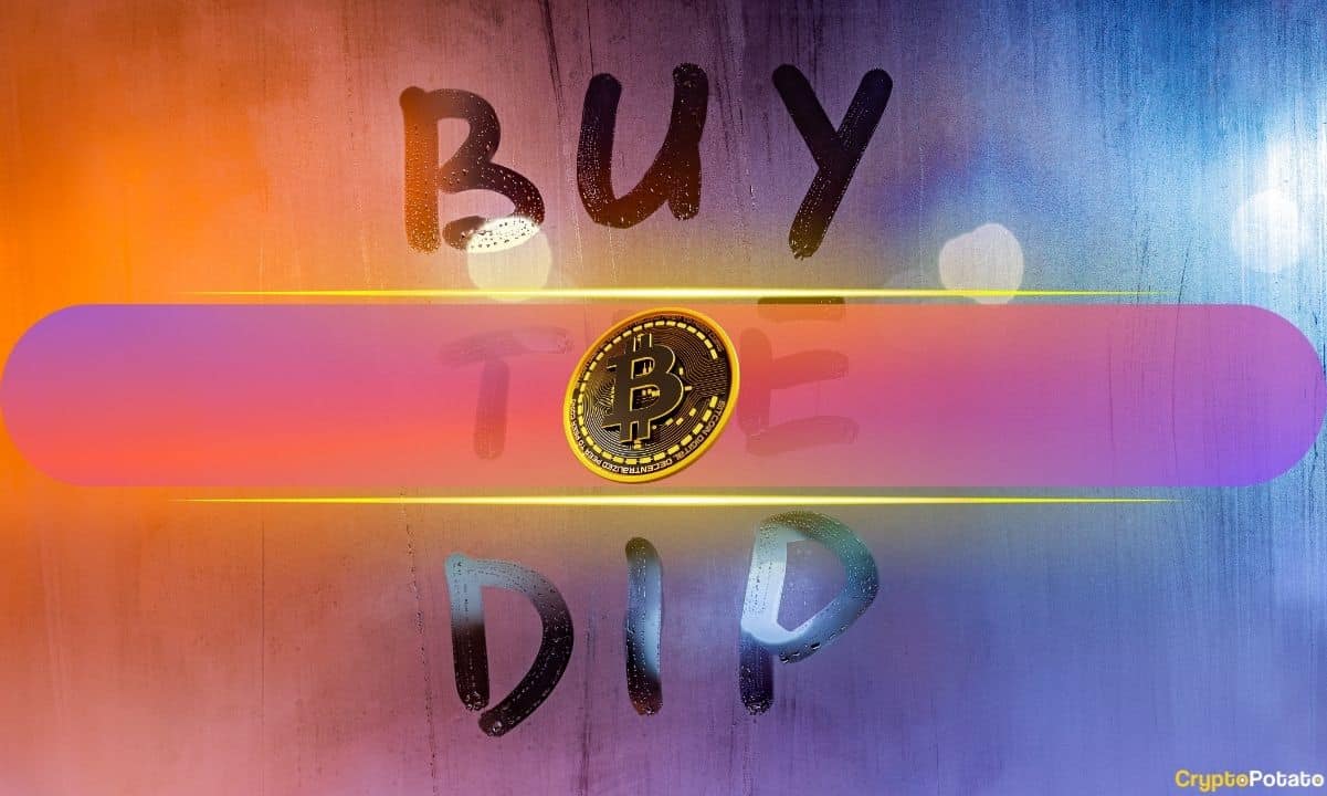 buy-the-dip-success:-opportunistic-investors-see-7-14%-gains-after-trade-war-jitters