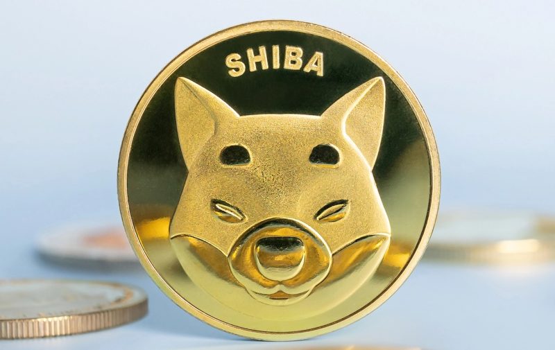 shiba-inu-price-forecast:-bulls-eye-breakout-after-deep-accumulation