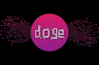 $50-million-injection:-here’s-why-the-dogecoin-price-could-see-an-explosive-rally