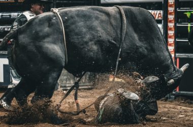 ethereum-beware-—-analyst-says-xrp’s-next-bull-run-could-be-deadly