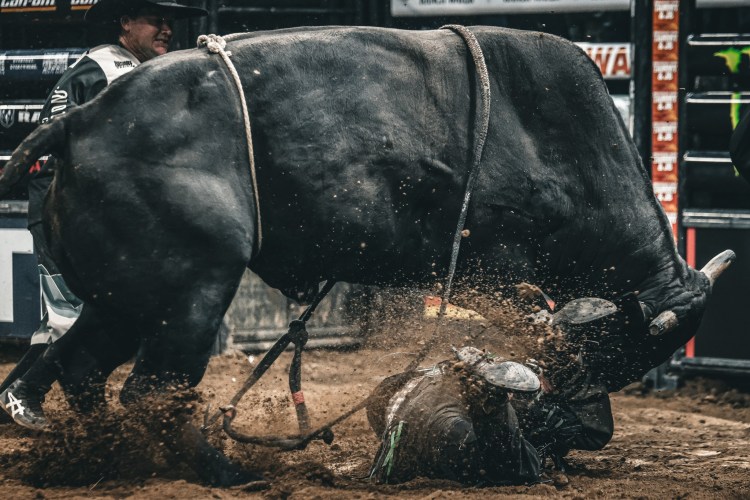 ethereum-beware-—-analyst-says-xrp’s-next-bull-run-could-be-deadly