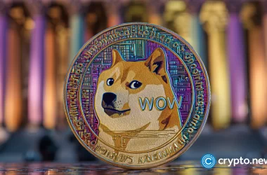 red-alert:-dogecoin-price-risky-pattern-nears-as-doge-etf-growth-stalls