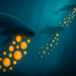 bitcoin-back-under-$111,000-as-key-holders-shed-17,500-btc