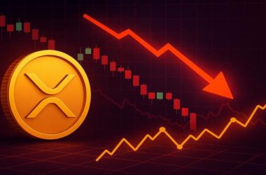 xrp-dex-volumes-surge-as-price-plunges:-smart-money-accumulating?