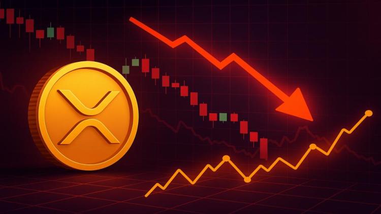 xrp-dex-volumes-surge-as-price-plunges:-smart-money-accumulating?
