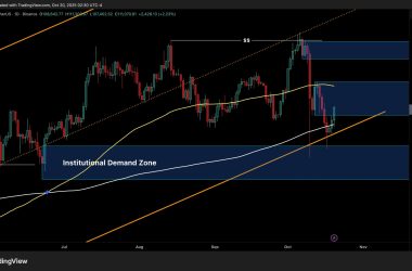 btc-price-analysis:-bitcoin-needs-to-reclaim-$114k-to-confirm-bull-run-continuation