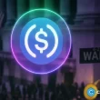 circle’s-bridge-kit-opens-multichain-usdc-flows-for-developers
