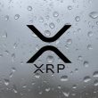 pundit-outlines-the-possibility-of-the-xrp-price-getting-to-$1,000