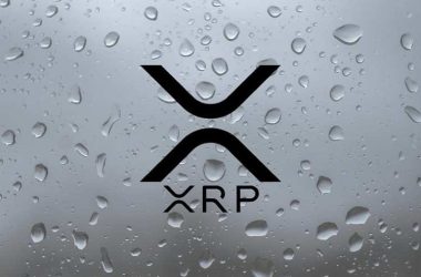 pundit-outlines-the-possibility-of-the-xrp-price-getting-to-$1,000