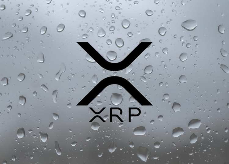 pundit-outlines-the-possibility-of-the-xrp-price-getting-to-$1,000