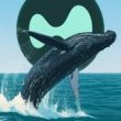 hyperunit-whale-closes-$866m-bitcoin-shorts-for-$2.38m-profit