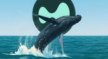 hyperunit-whale-closes-$866m-bitcoin-shorts-for-$2.38m-profit