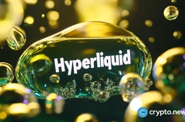 hyperliquid-strategies-seeks-to-raise-$1b-to-boost-hype-holdings