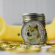 dogecoin-price-macro-target-remains-above-$2,-and-the-market-crash-hasn’t-changed-it