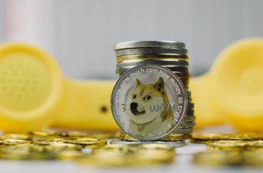 dogecoin-price-macro-target-remains-above-$2,-and-the-market-crash-hasn’t-changed-it