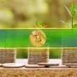 bitcoin-accumulation-patterns-show-late-stage-cycle-maturity,-not-definite-end:-cryptoquant
