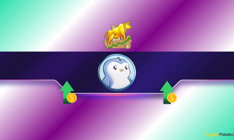 pengu-activity-spikes:-what’s-driving-the-buzz?