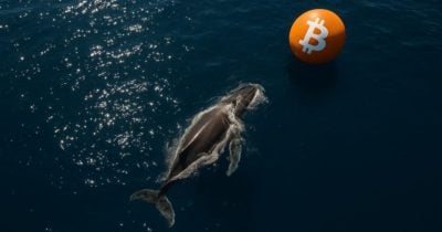 whale-deposits-$372m-usdc-into-hyperliquid,-opens-$27.7m-btc-long