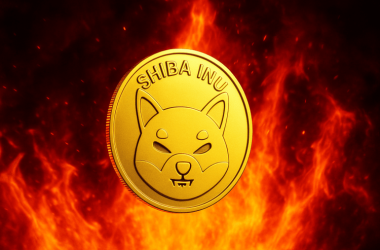 shiba-inu-looks-weak—but-hides-a-2,000%-end-cycle-breakout:-analyst